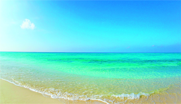 綺麗な海の画像