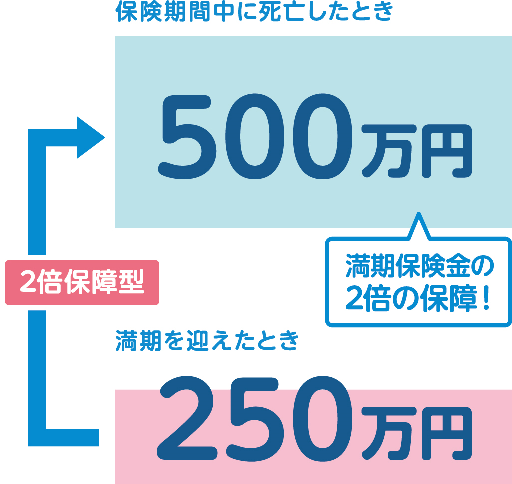 満期保険金250万円 保険期間中に死亡したときは満期保険金の2倍の500万円を保障!