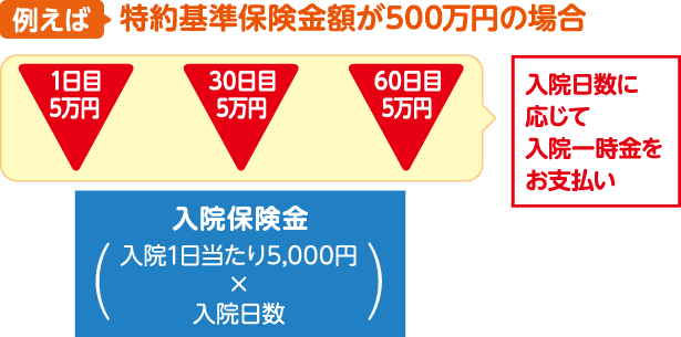 例えば、特約基準保険金額が500万円の場合、入院日数に応じて入院一時金(1日目5万円、30日目5万円、60日目5万円)をお支払い。さらに入院保険金は入院1日あたり5,000円かける入院日数をお支払い