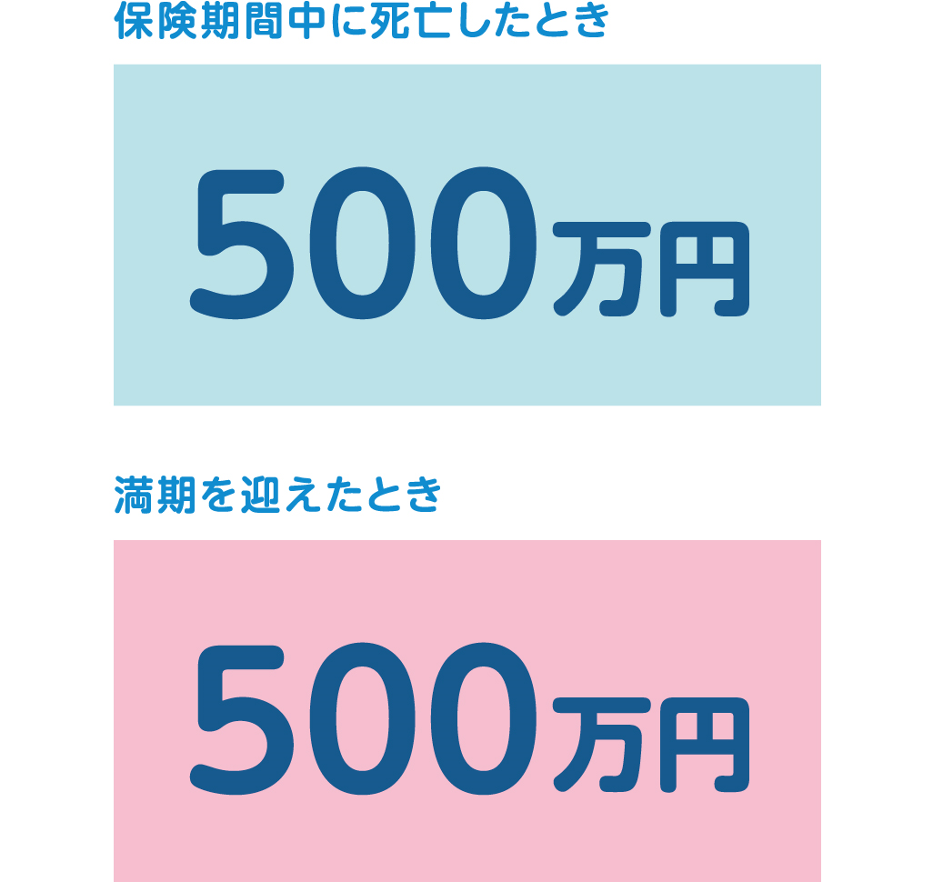 保険期間中に死亡したとき500万円 満期を迎えたとき500万円